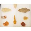 Image 3 : Riker Case: 14 pcs Northern Plains