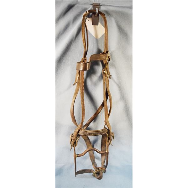 Kelly silver mounted curb bit in a headstall