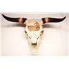 Image 1 : Handpainted cow skull
