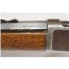 Image 12 : Winchester 1892, .25-20 WCF