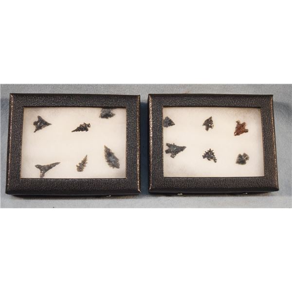 (2) Riker Cases: each contains 6 obsidian points