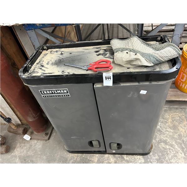 Craftsman Professional Metal Shop Cabinet