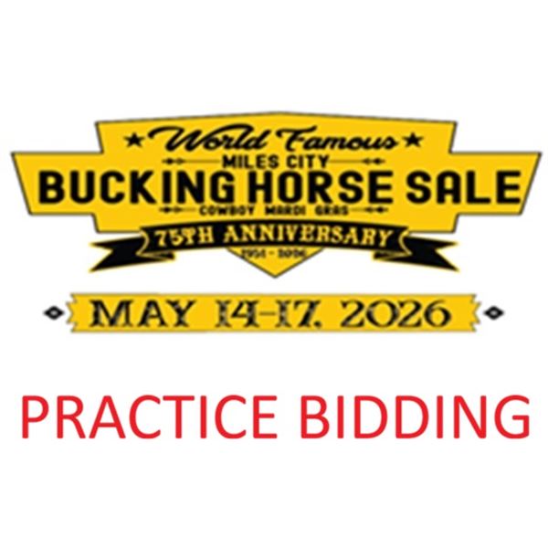 PRACTICE BIDDING