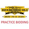 Image 1 : PRACTICE BIDDING