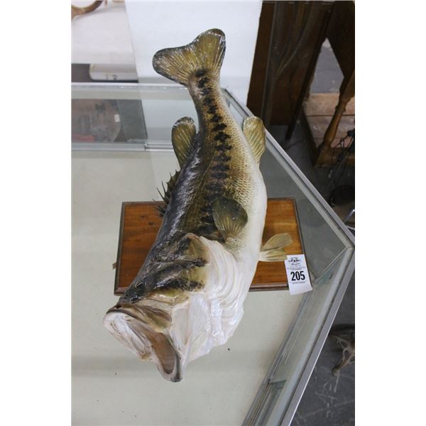 Large Mouth Bass on Plaquer