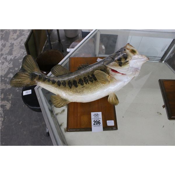 Large Mouth Bass on Plaquer