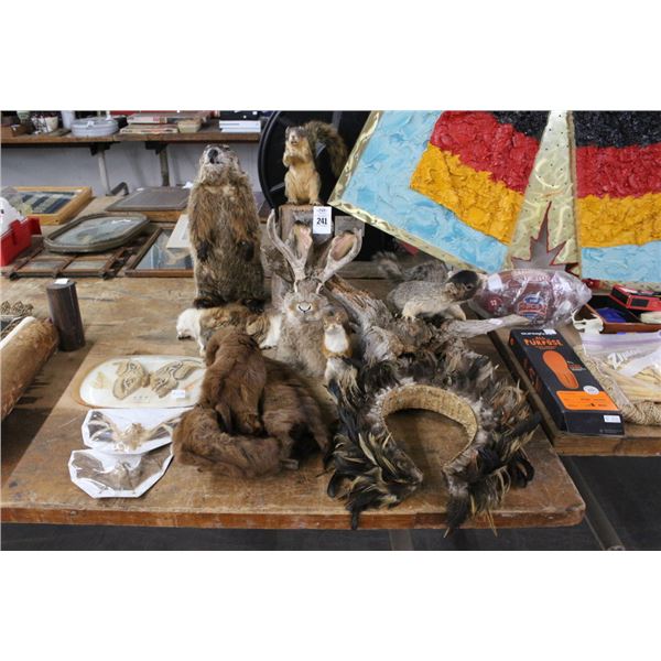 Asst. Taxidermy Squirrels, Beaver, Moth, Bats, Jackalope