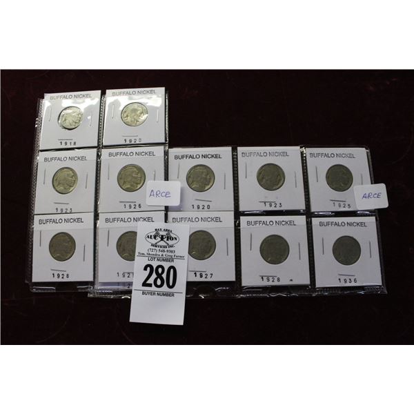 Buffalo Nickels 12 Early 1900's
