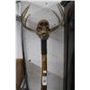 Image 2 : Walking Stick w/Antler/Skull Top