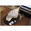 Image 1 : Large Conch Shell Sconce Lamp