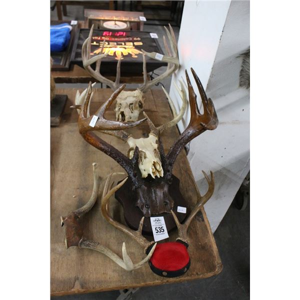 Asst. Taxidermy Deer Antlers
