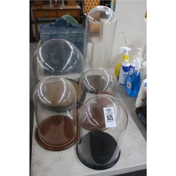 Glass Pedestal Display Cases - 6