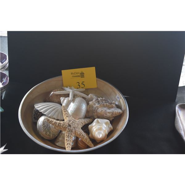 COLLECTION OF SEASHELLS IN NAUTILUS STYLE BOWL