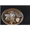 Image 2 : COLLECTION OF SEASHELLS IN NAUTILUS STYLE BOWL