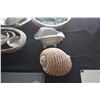 Image 4 : COLLECTION OF SHELLS, CERAMIC IPU'S & ETCHED TROPICAL LANDSCAPE (14 PCS)
