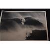 Image 13 : COLLECTION OF BLACK & WHITE PHOTOS BY BUD BROWN (1912-2008) OF BIG WAVE SURFERS GREG NOLL, MIKE STAN