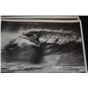 Image 19 : COLLECTION OF BLACK & WHITE PHOTOS BY BUD BROWN (1912-2008) OF BIG WAVE SURFERS GREG NOLL, MIKE STAN