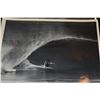 Image 21 : COLLECTION OF BLACK & WHITE PHOTOS BY BUD BROWN (1912-2008) OF BIG WAVE SURFERS GREG NOLL, MIKE STAN