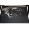 Image 23 : COLLECTION OF BLACK & WHITE PHOTOS BY BUD BROWN (1912-2008) OF BIG WAVE SURFERS GREG NOLL, MIKE STAN