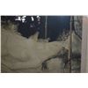 Image 3 : FRAMED LITHOGRAPH, LA REVE" OR "THE DREAM"; SIGNED FOUJITA 24/25 H.C. (37 1/2" X 34 1/2")