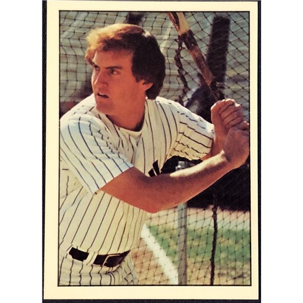 1975 SSPC BASEBALL GRAIG NETTLES