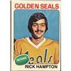 Image 1 : 1975-76 NHL TOPPS RICK HAMPTON ROOKIE CARD