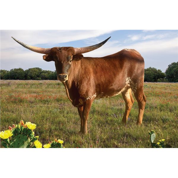 M7 Monika’s Touchdown