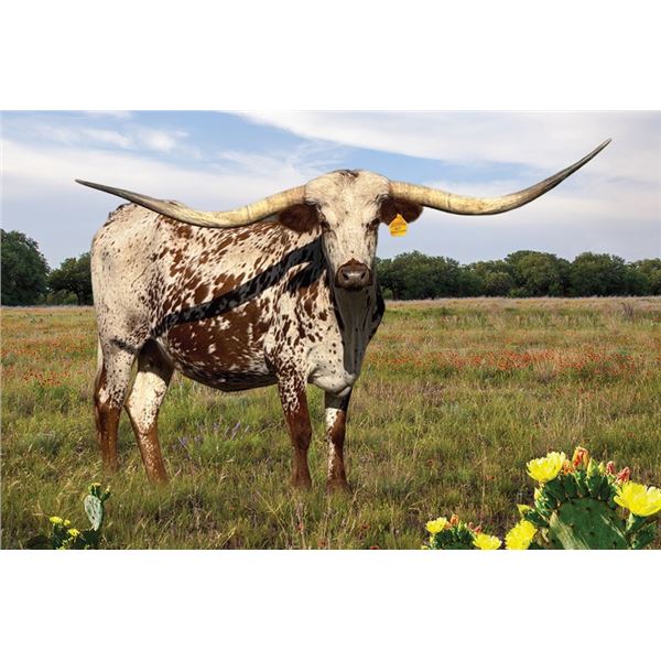 GW Sittin Ona Investment