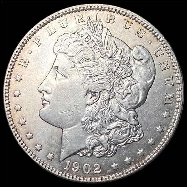 1902 Morgan Silver Dollar CHOICE AU