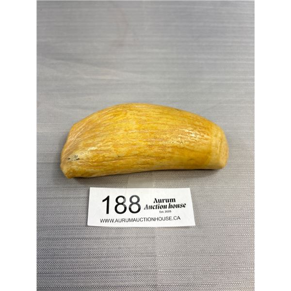 Antique Sperm Whale Tooth 5" Tall