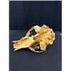 Image 4 : Vintage Bear Skull