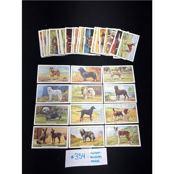 34 1938 Gallaher Cigarette Cards Dogs