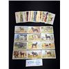 Image 1 : 34 1938 Gallaher Cigarette Cards Dogs