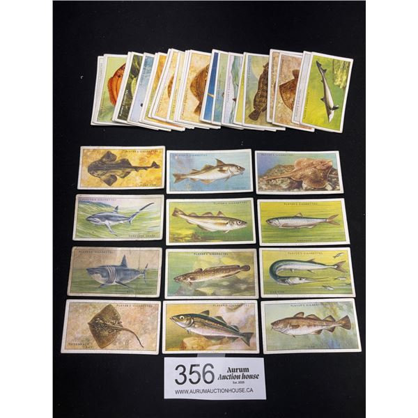 37 1935 John Player & Sons Cigarette Cards Sea Fishes \