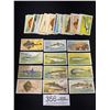 Image 1 : 37 1935 John Player & Sons Cigarette Cards Sea Fishes \