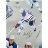 Image 2 : 1980's Wayne Gretzky Vinyl Wallpaper Measures 41 x 21 Inches