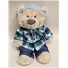 Image 1 : Official Build-A-Bear Teddy & Clothes