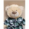 Image 3 : Official Build-A-Bear Teddy & Clothes