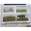 Image 2 : 126.  Binder Full of Antique Postcards Tractors, Horses, Oxen Etc. Over 60