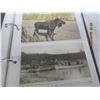 Image 9 : 128. Postcard Album Full of Old Postcards