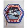 Image 2 : 189. Vintage Challenger Space Mission Patch