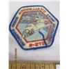 Image 3 : 189. Vintage Challenger Space Mission Patch