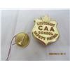 Image 2 : 224. Lot of Vintage Badges and Pins CAA Safety Patrol, Pips, Fire Fighter Ect.