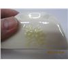 Image 3 : 263. Antique Belleek Fine Irish China Ashtray