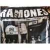 Image 2 : Ramones Flag Banner