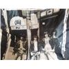 Image 3 : Ramones Flag Banner