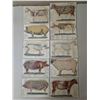 Image 1 : (10) 1800s-1900 Animal Organ Photos Veterinarians