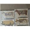 Image 4 : (10) 1800s-1900 Animal Organ Photos Veterinarians