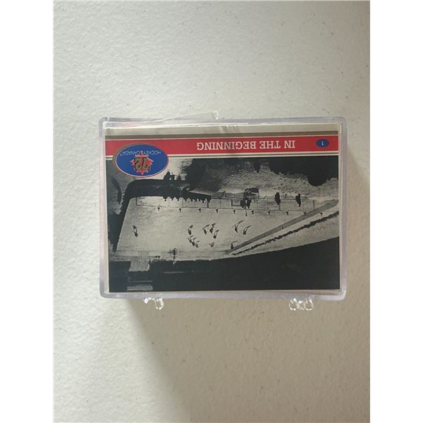 72 Canada Vs USSR - Hockey Card Set