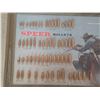 Image 2 : Speer bullets - ammunition display- 21"L
